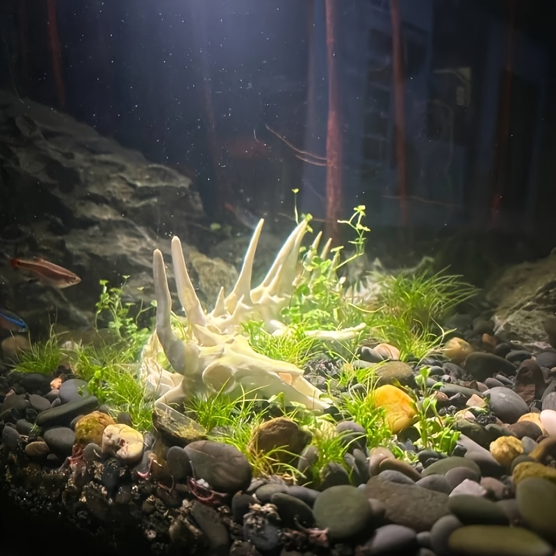 1pc Dragon-Shaped Fishbone Dec - Aquarium Moss review and price