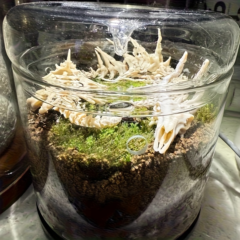 1pc Dragon-Shaped Fishbone Dec - Aquarium Moss review and price
