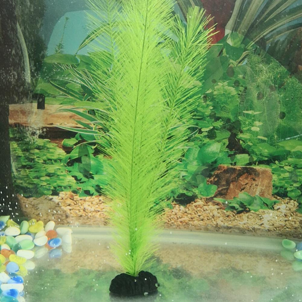 1/3Pcs 28/40cm Aquarium Fish T - Aquarium Plants Live review and price