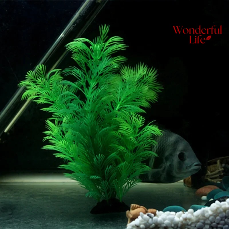 19/30CM Water Grass Aquatic Pl - Live Plant Aquarium review and price