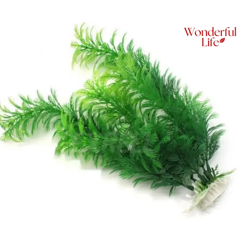 19/30CM Water Grass Aquatic Pl - Live Plant Aquarium review and price