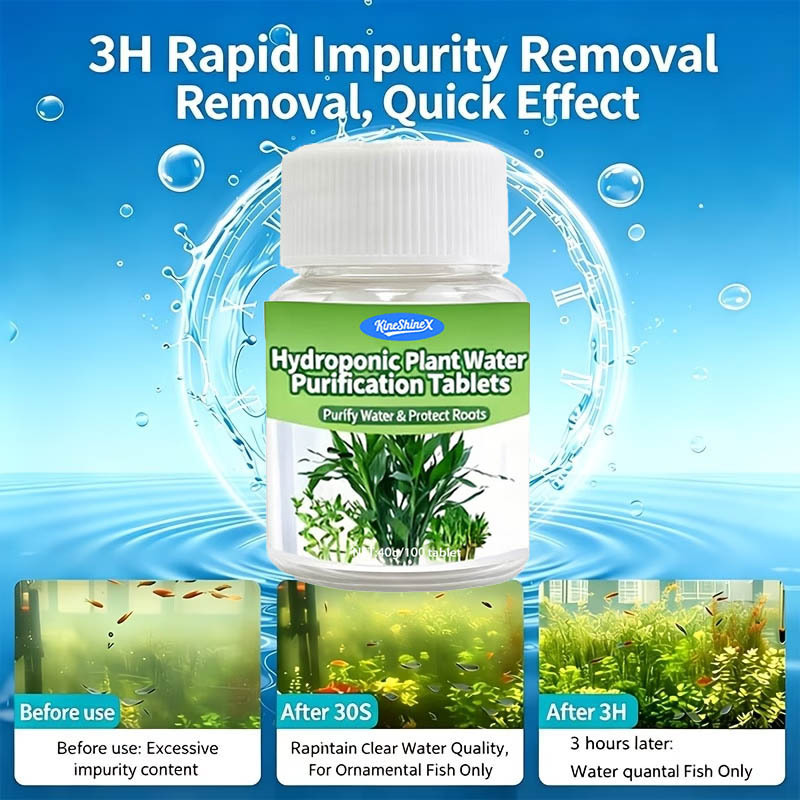 Hydroponic Water Purification  - Plant Aquarium Pot review and price