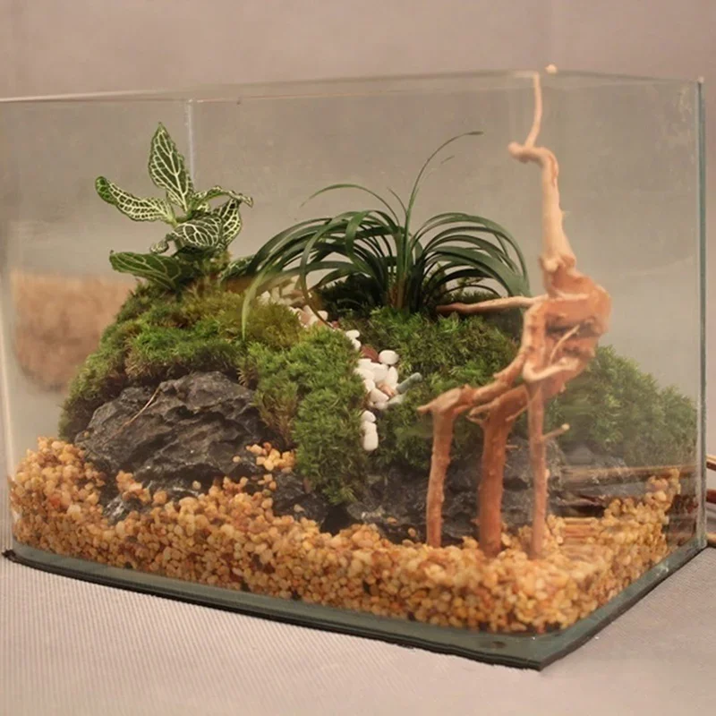 Natural Tree Trunk Driftwood A - Aquarium Driftwood review and price