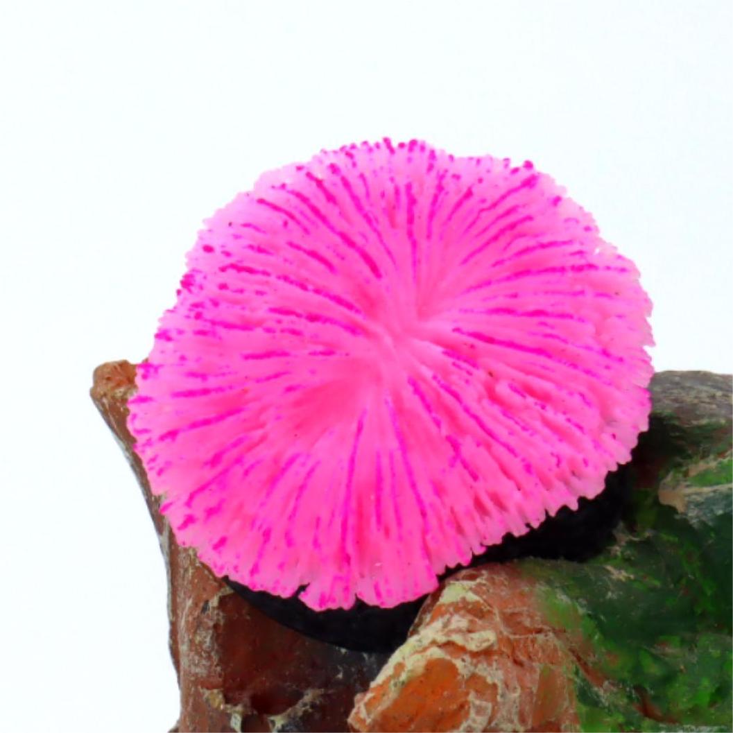 1 Piece Aquarium Decoration Sa - Aquarium Plants Live review and price
