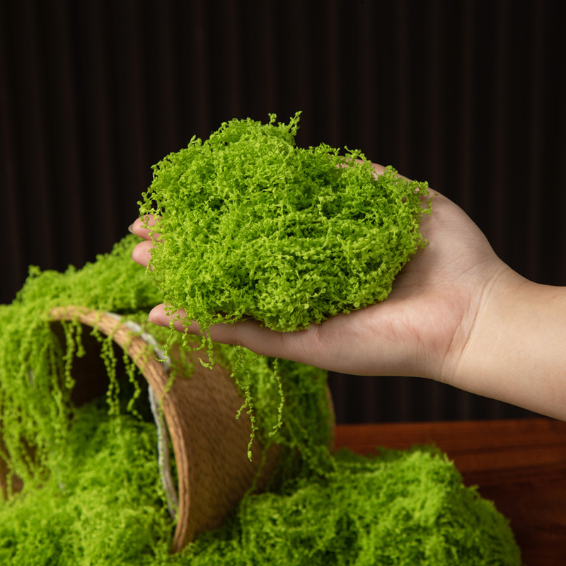 200g Eternal Life Moss DIY Cra - Aquarium Moss review and price