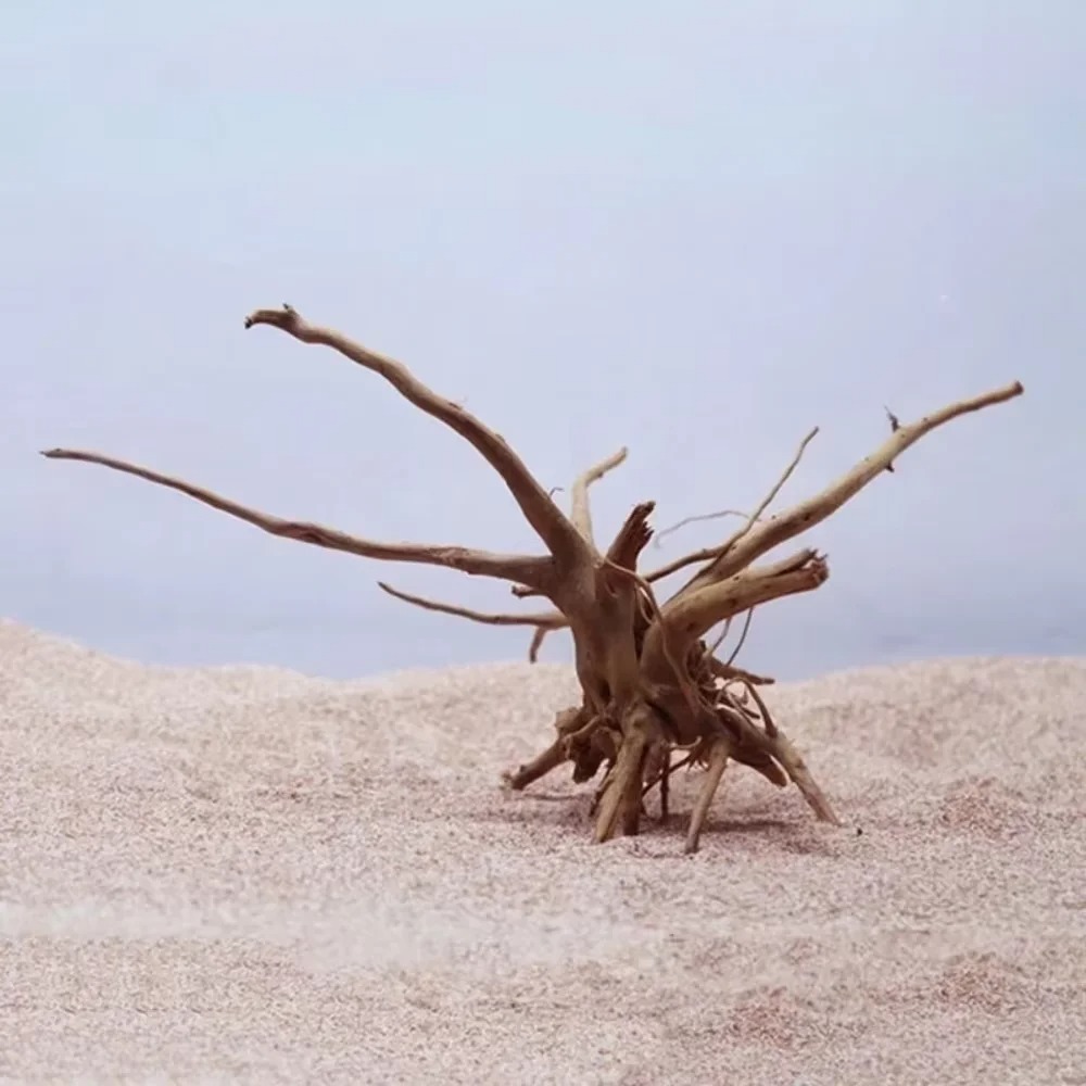 15-20CM Natural Driftwood Aqua - Aquarium Driftwood review and price