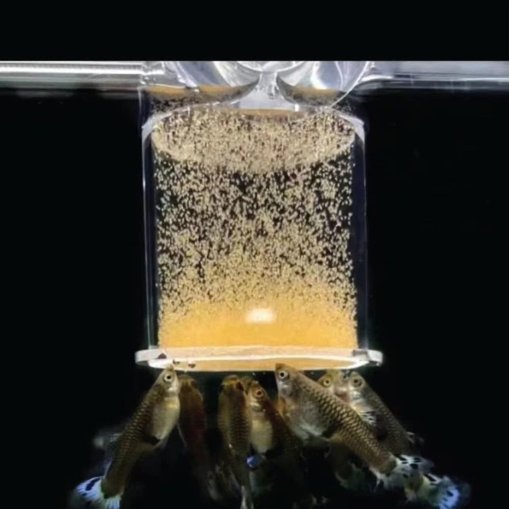 Acrylic Brine Shrimp Feeder Fi - Aquarium Fertilizer review and price