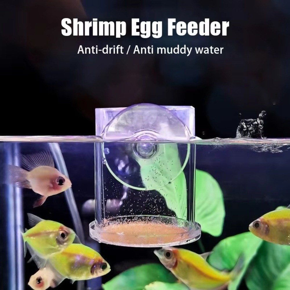 Acrylic Brine Shrimp Feeder Fi - Aquarium Fertilizer review and price