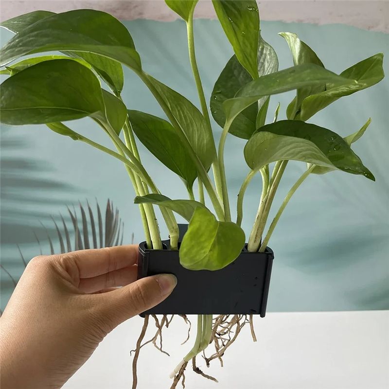 A04G-Aquarium Planter Aquarium - Live Plant Aquarium review and price