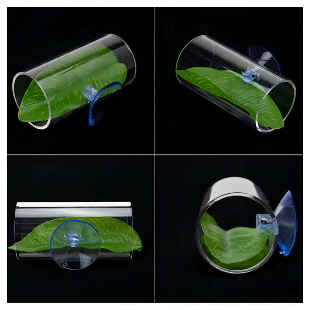 1PC Betta Fish Acrylic Tube Tu - Live Plant Aquarium review and price