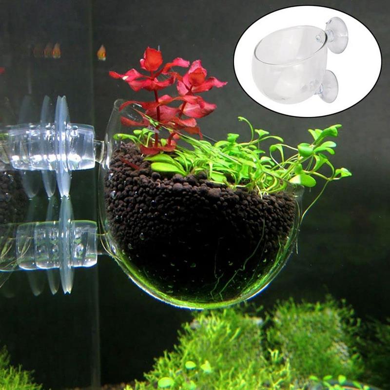 Aquarium Decorations Plant Cup - Aquarium Plant Holder review and price