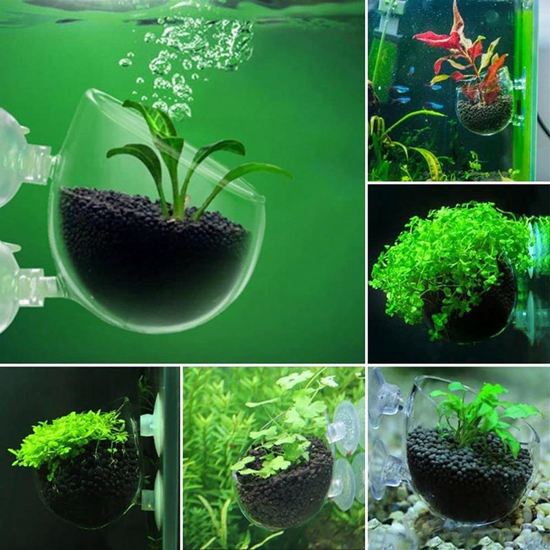 Aquarium Decorations Plant Cup - Aquarium Plant Holder review and price