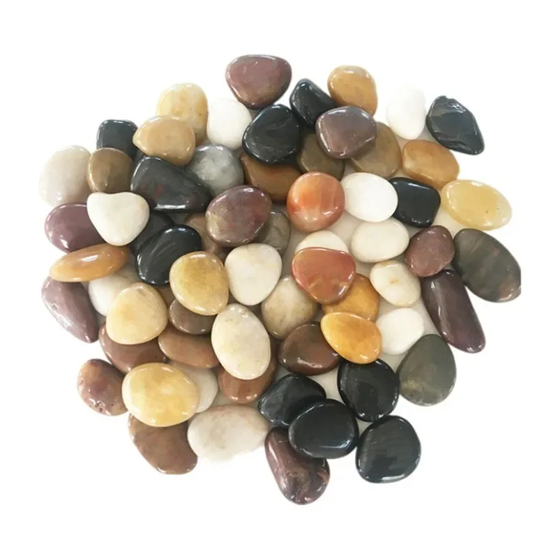 250g 500g Natural Aquarium Dec - Aquarium Moss review and price
