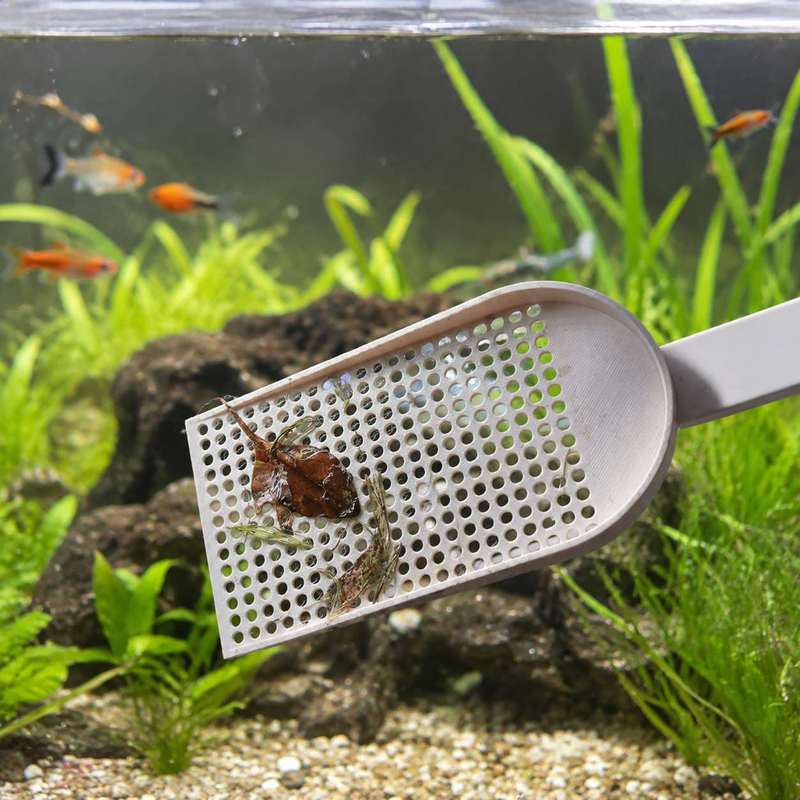 Aquarium Fish Tank Debris Scoo - Planted Aquarium Cleaning review and price