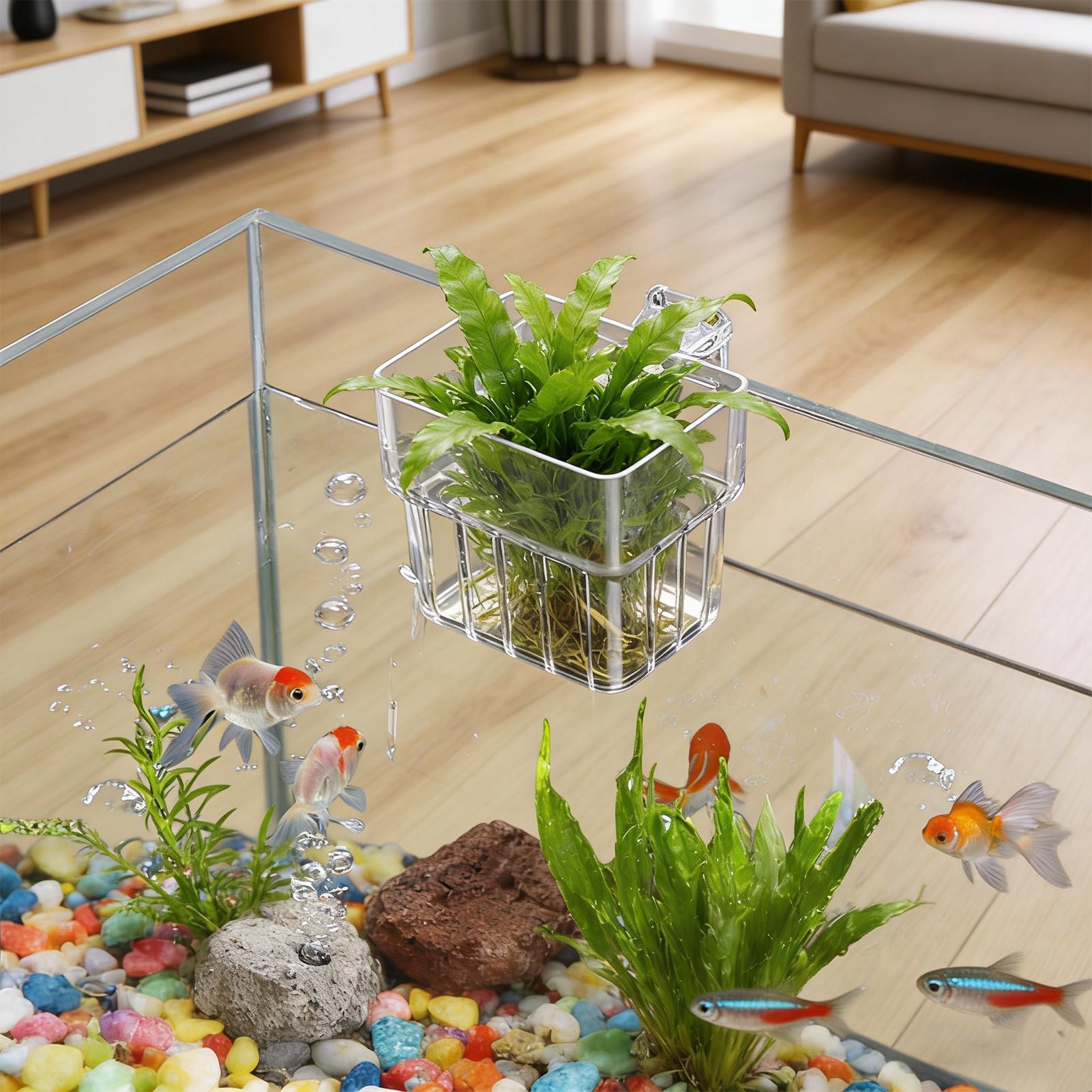 Transparent Hangable Aquarium  - Plant Aquarium Pot review and price
