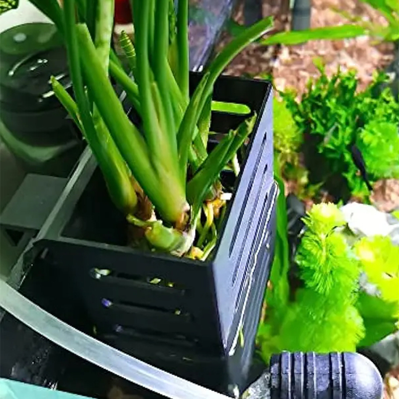 Pet Fish Tank Decorations Aqua - Aquarium Plants Live review and price