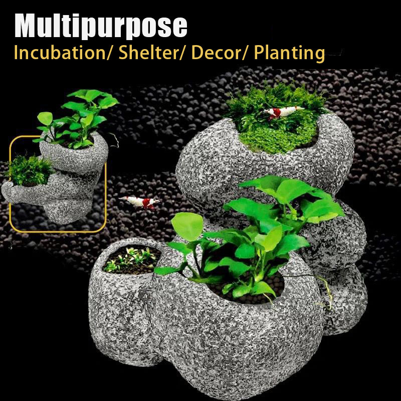 Fish Shrimp Incubation Shelter - Plant Aquarium Pot review and price