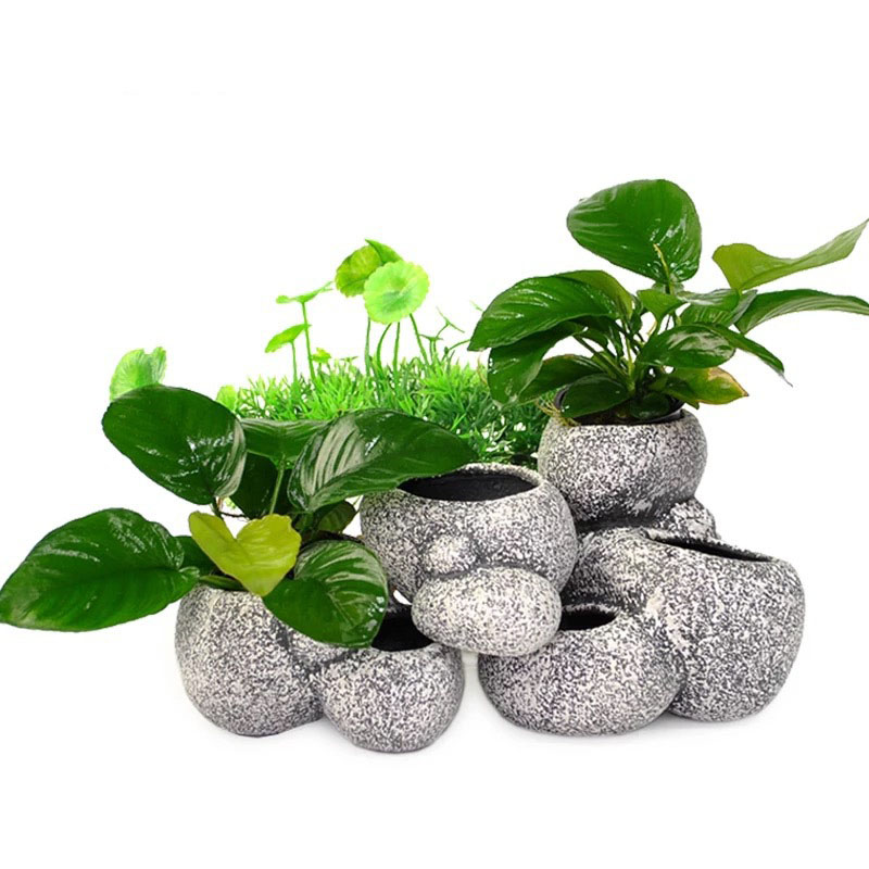 Fish Shrimp Incubation Shelter - Plant Aquarium Pot review and price