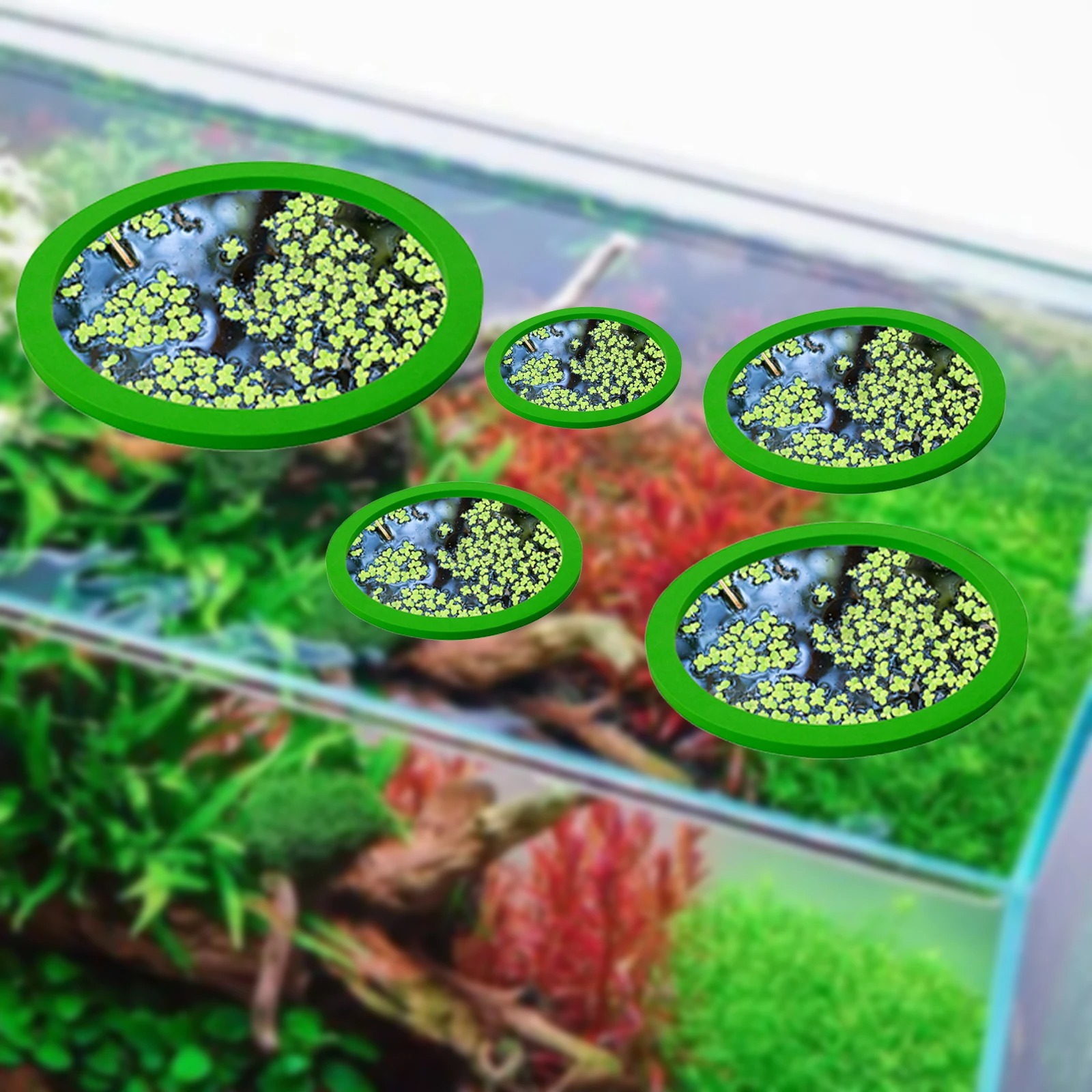 5Pcs EVA Fish Feeding Ring Aqu - Planted Tank review and price
