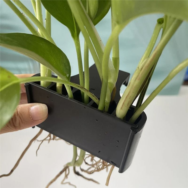 AT05-Aquarium Planter Aquarium - Live Plant Aquarium review and price