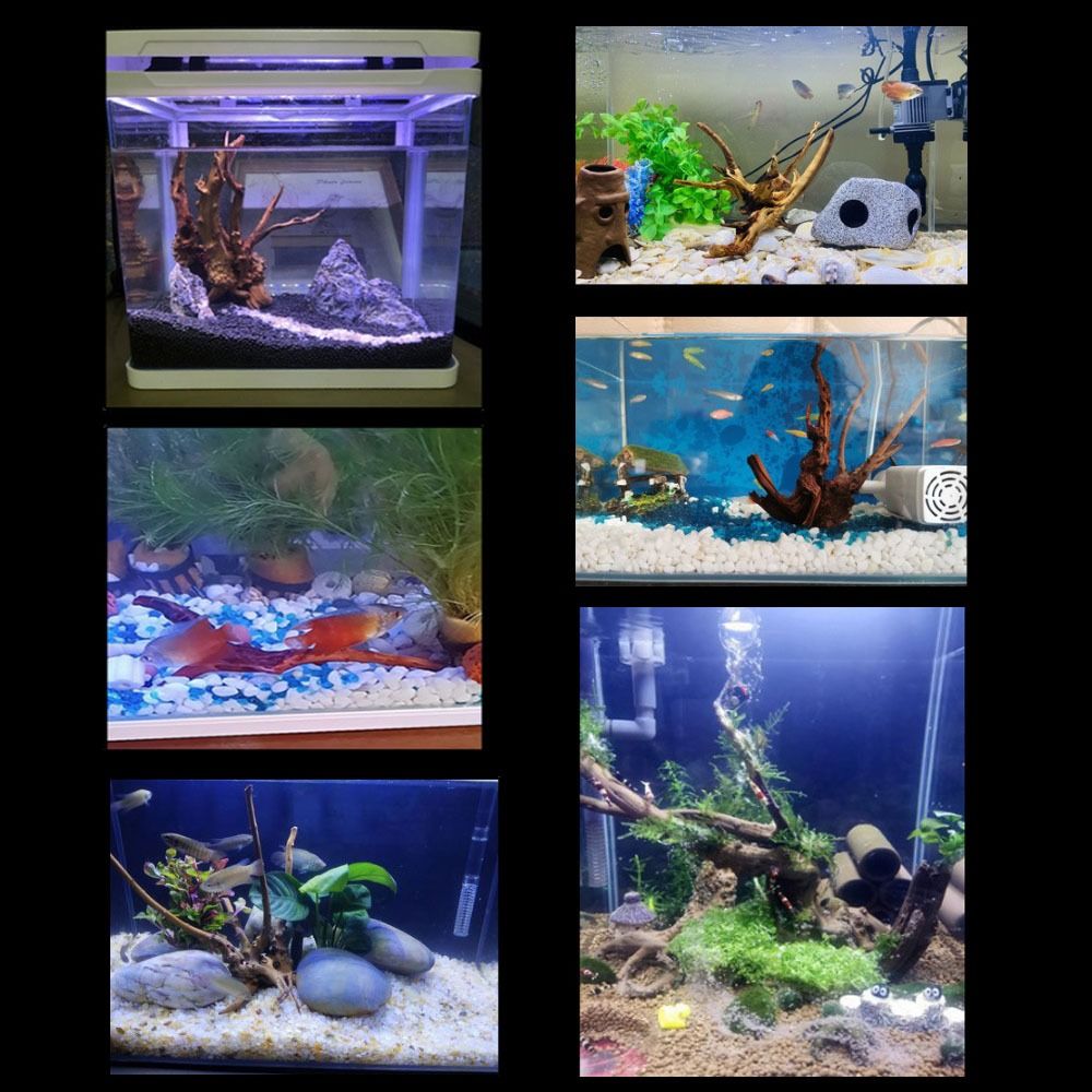 20-25CM Large Aquarium Driftwo - Aquarium Driftwood review and price