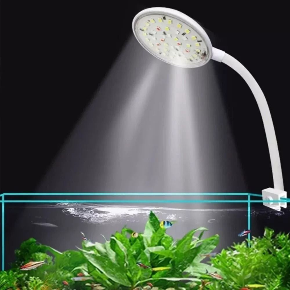 New Mini Fish Tank Clip Lamp 5 - Live Plant Aquarium review and price