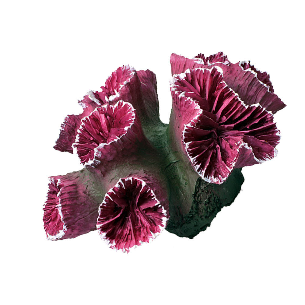 Premium Resin Coral Ornament A - Live Plant Aquarium review and price
