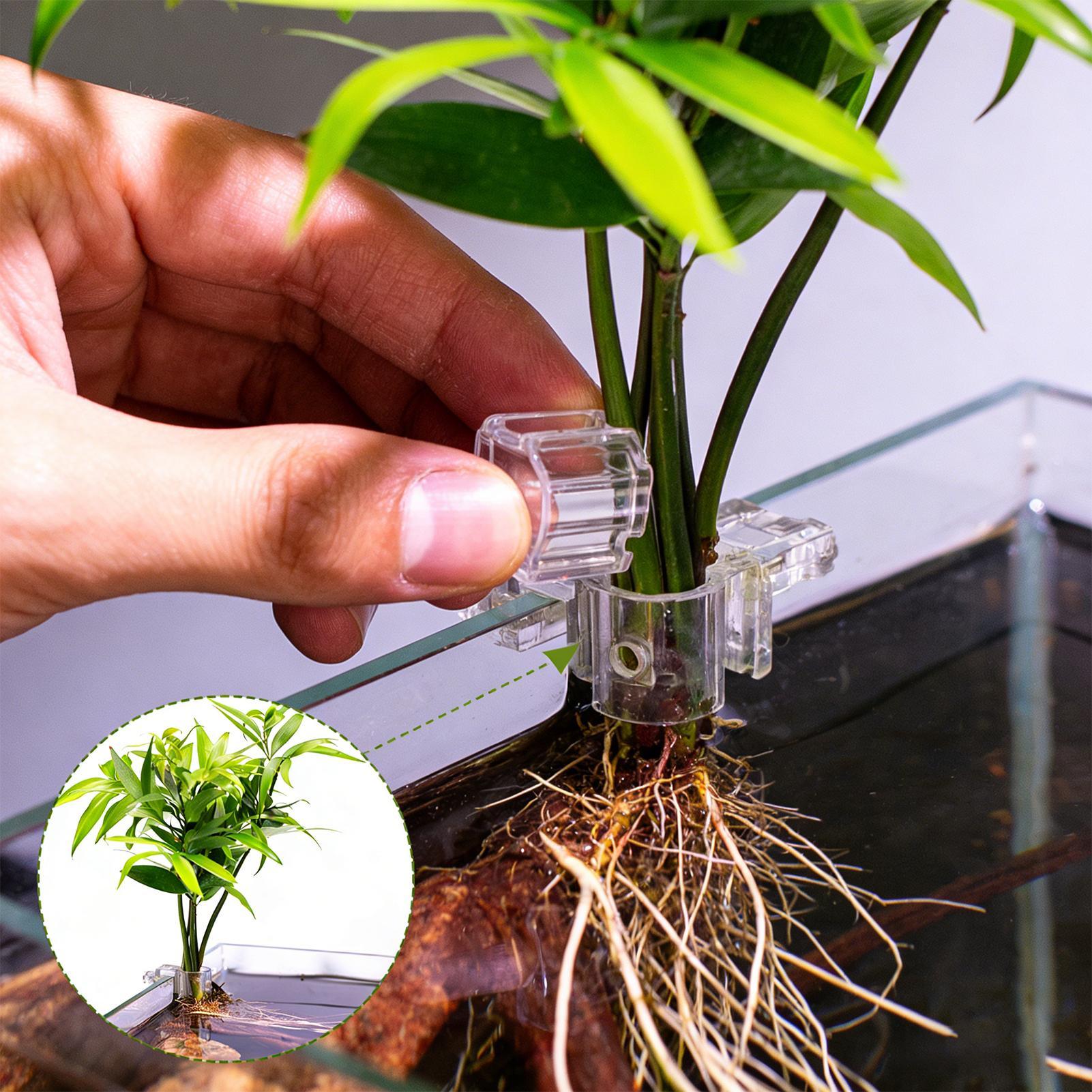 Mini Fish Tank Planter Pot 6Pc - Plant Aquarium Pot review and price