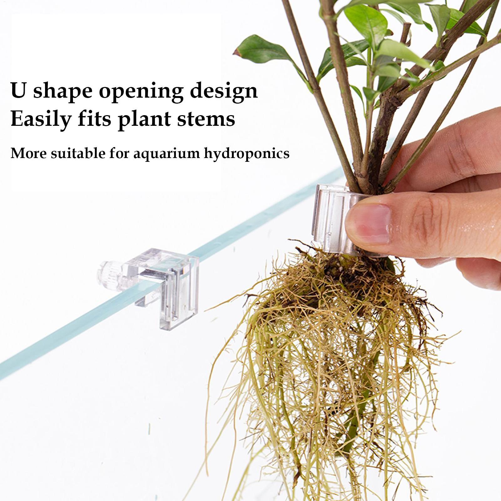 Mini Fish Tank Planter Pot 6Pc - Plant Aquarium Pot review and price