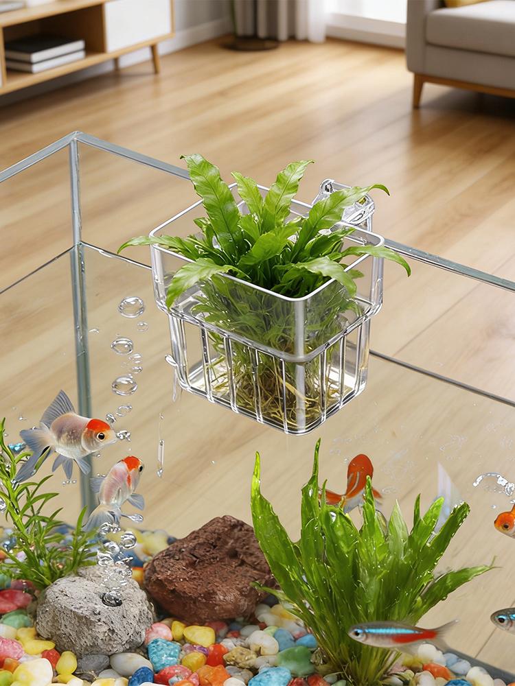 Aquarium Plant Holder Transpar - Aquarium Plant Holder review and price