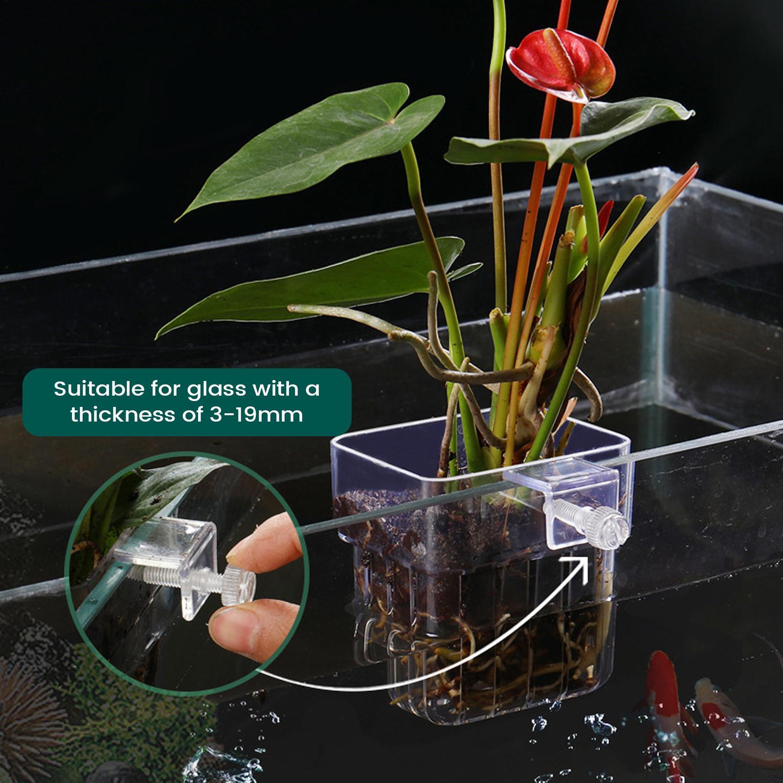 Aquarium Plant Holder Transpar - Aquarium Plant Holder review and price