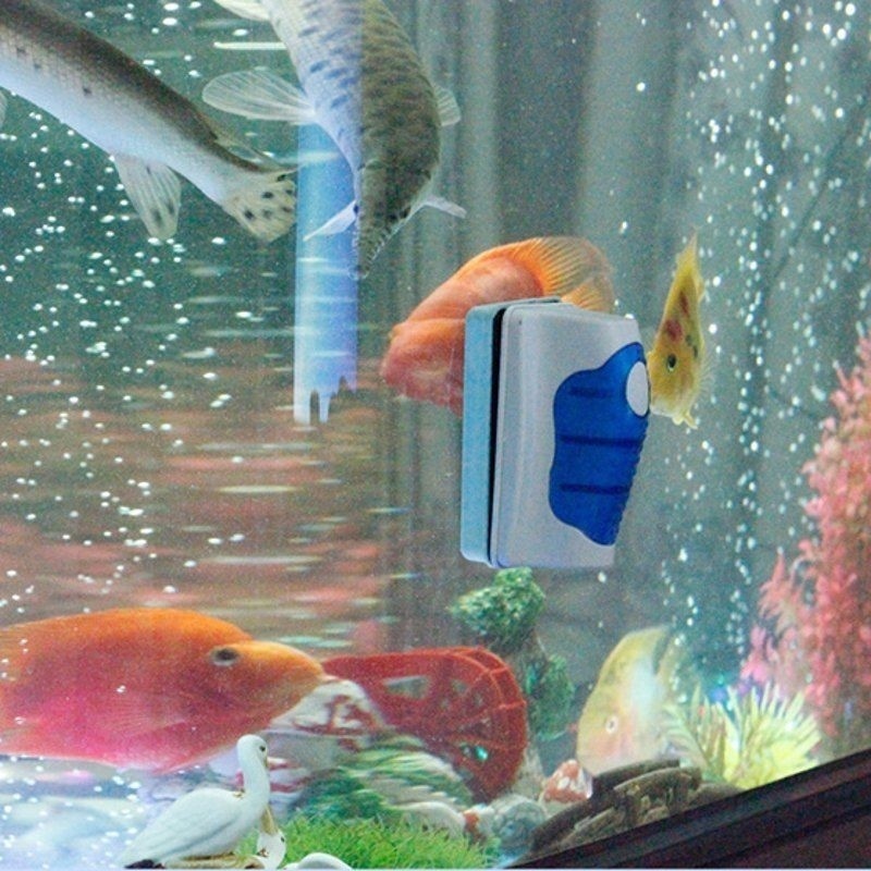 Fish Tank Glass Scraper Cleane - Planted Aquarium Cleaning review and price