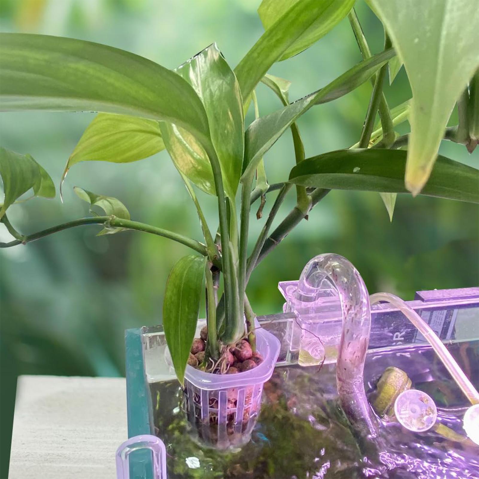 2pcs Fish Tank Planting Cup Hy - Plant Aquarium Pot review and price
