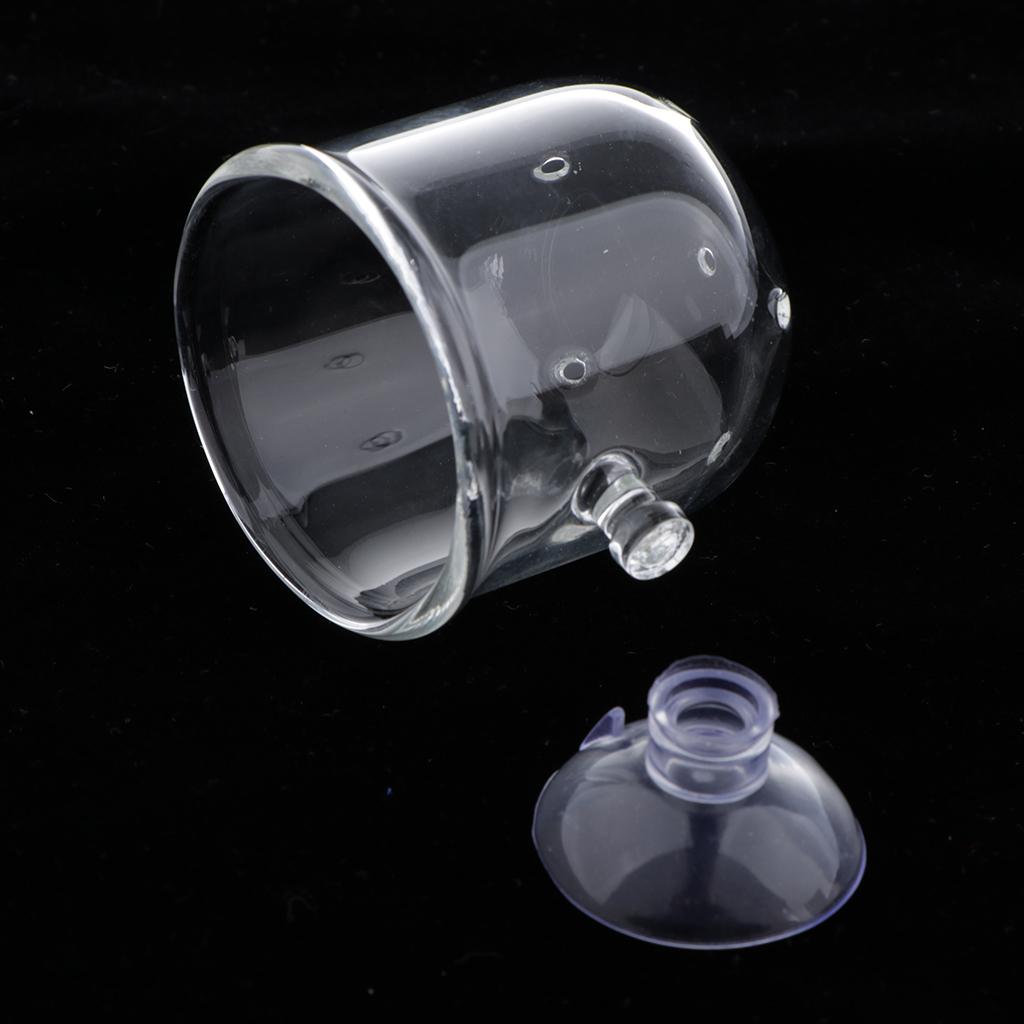 Fish Feeding Basket Glass Aqua - Plant Aquarium Pot review and price