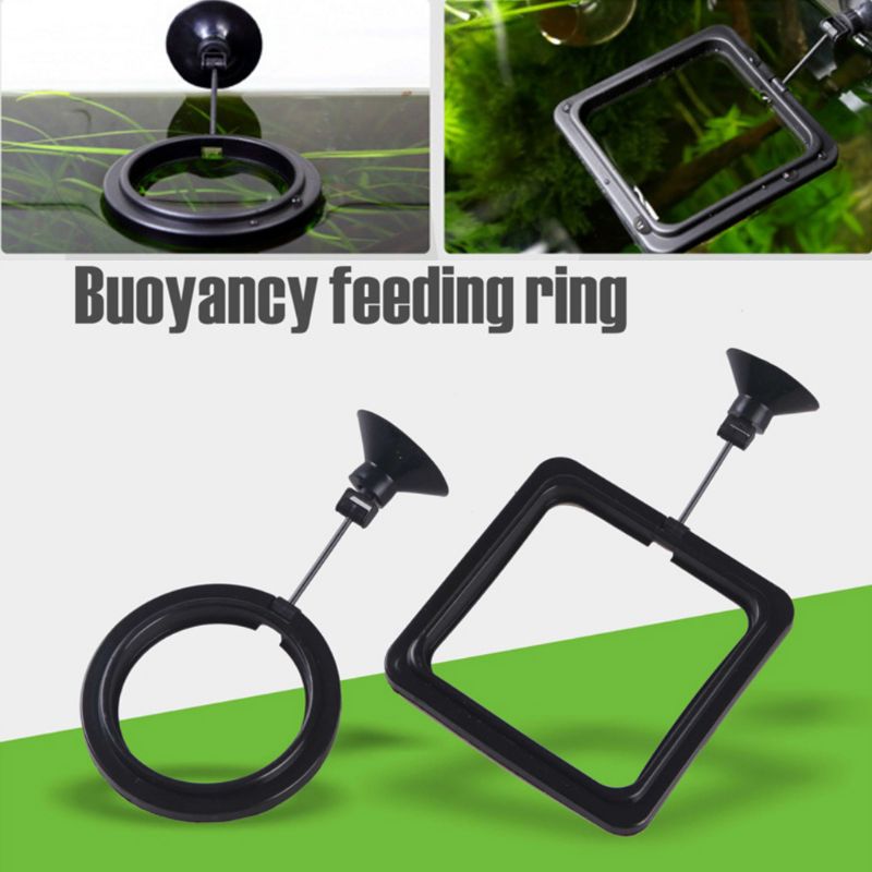 Aquarium Fish Feeding Ring Fis - Aquarium Fertilizer review and price