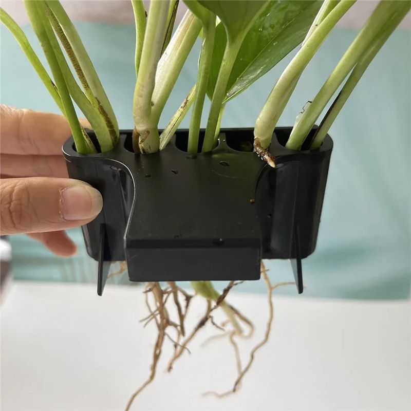 THIVN-Aquarium Planter Aquariu - Live Plant Aquarium review and price