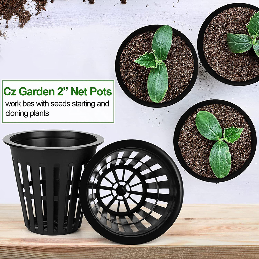 2inch Garden Nursery Pots Plan - Plant Aquarium Pot review and price