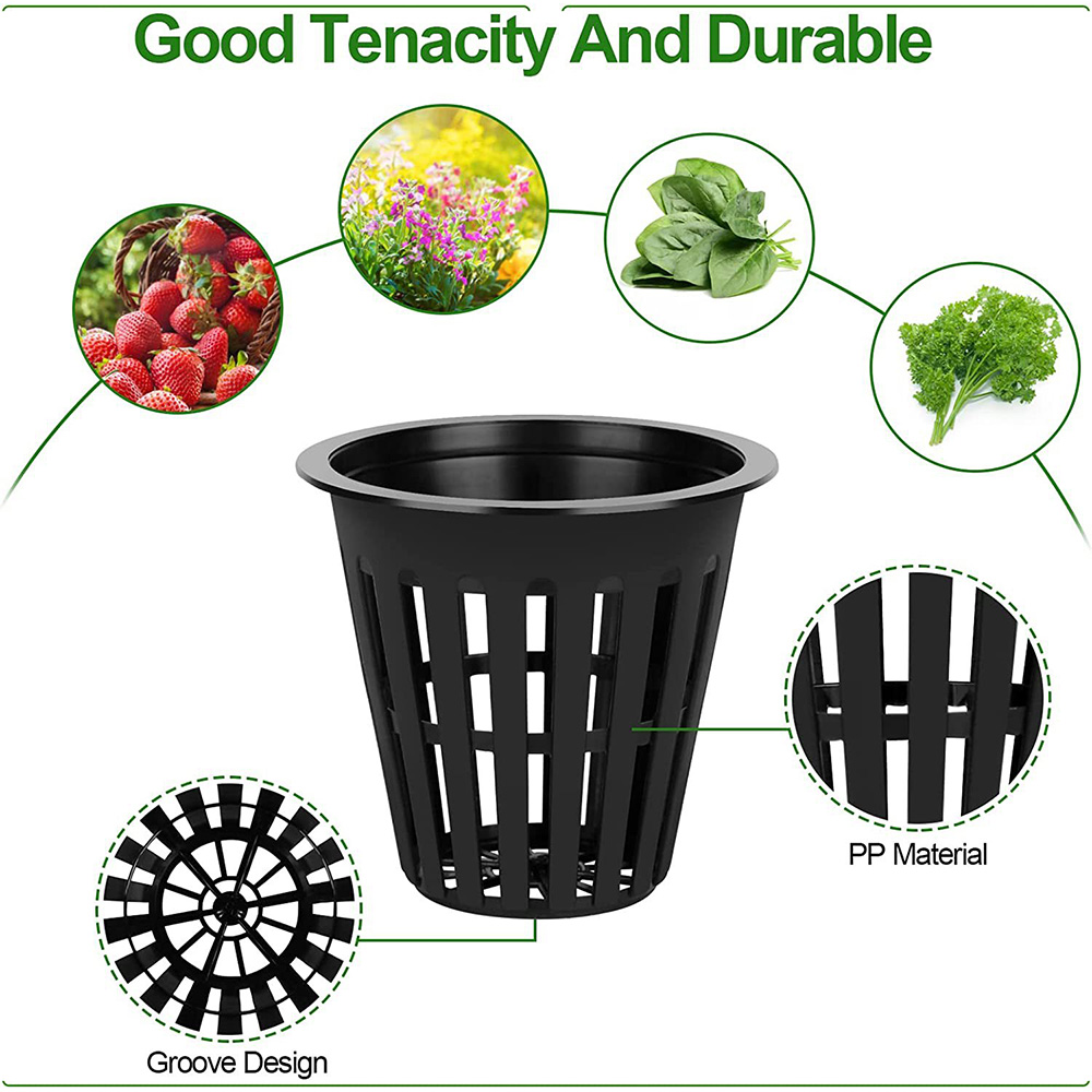 2inch Garden Nursery Pots Plan - Plant Aquarium Pot review and price