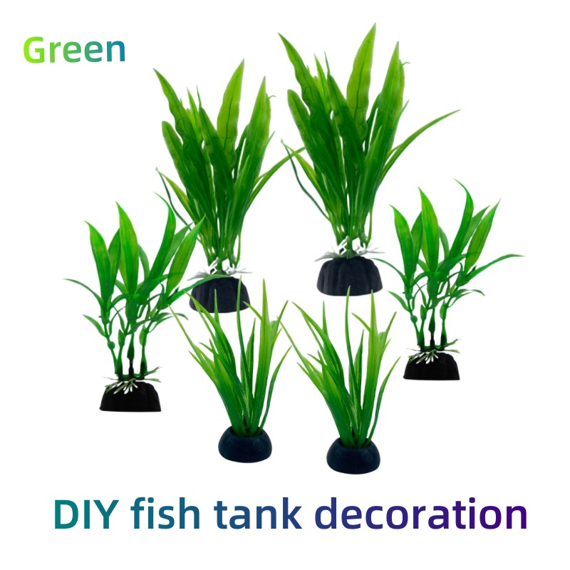 6pcs Packs Aquarium Plants, Fi - Aquarium Plants Live review and price